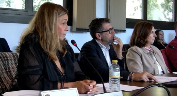 VOX obliga al equipo de gobierno de Benahavís a aplazar una ordenanza basada en un decreto derogado