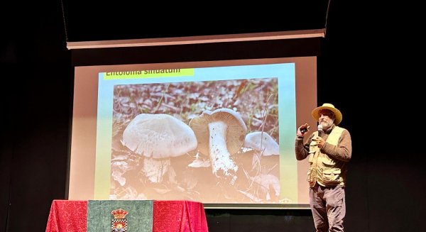 Monda consolida sus Jornadas Micológicas como referente cultural, ambiental y turístico