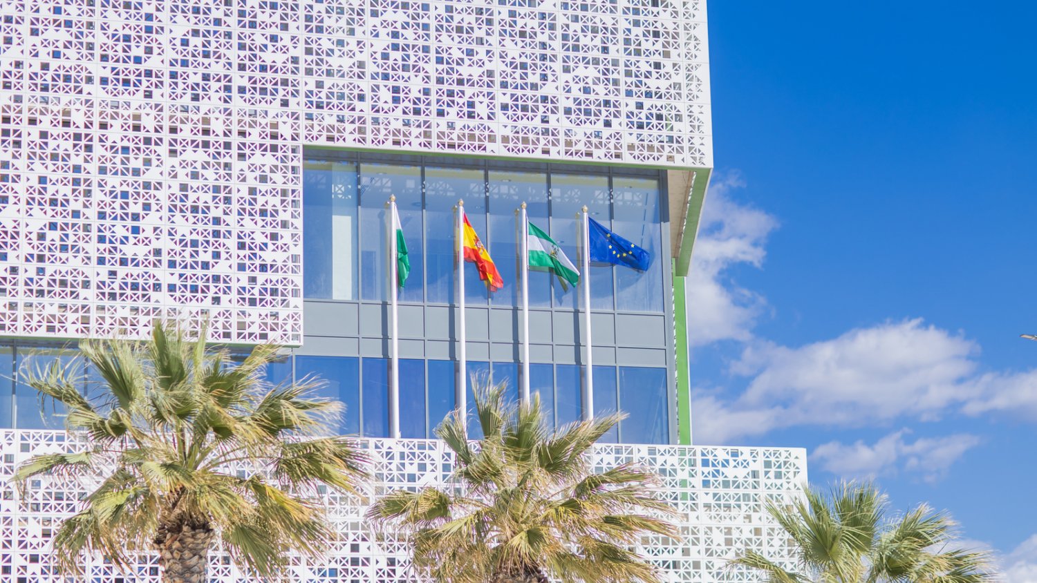 El Ayuntamiento de Estepona reconocerá el Día de la Constitución a jóvenes con destacadas trayectorias profesionales