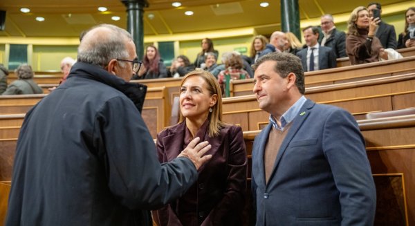 VOX responsabiliza al Gobierno de Sánchez del aumento de las agresiones sexuales en Málaga