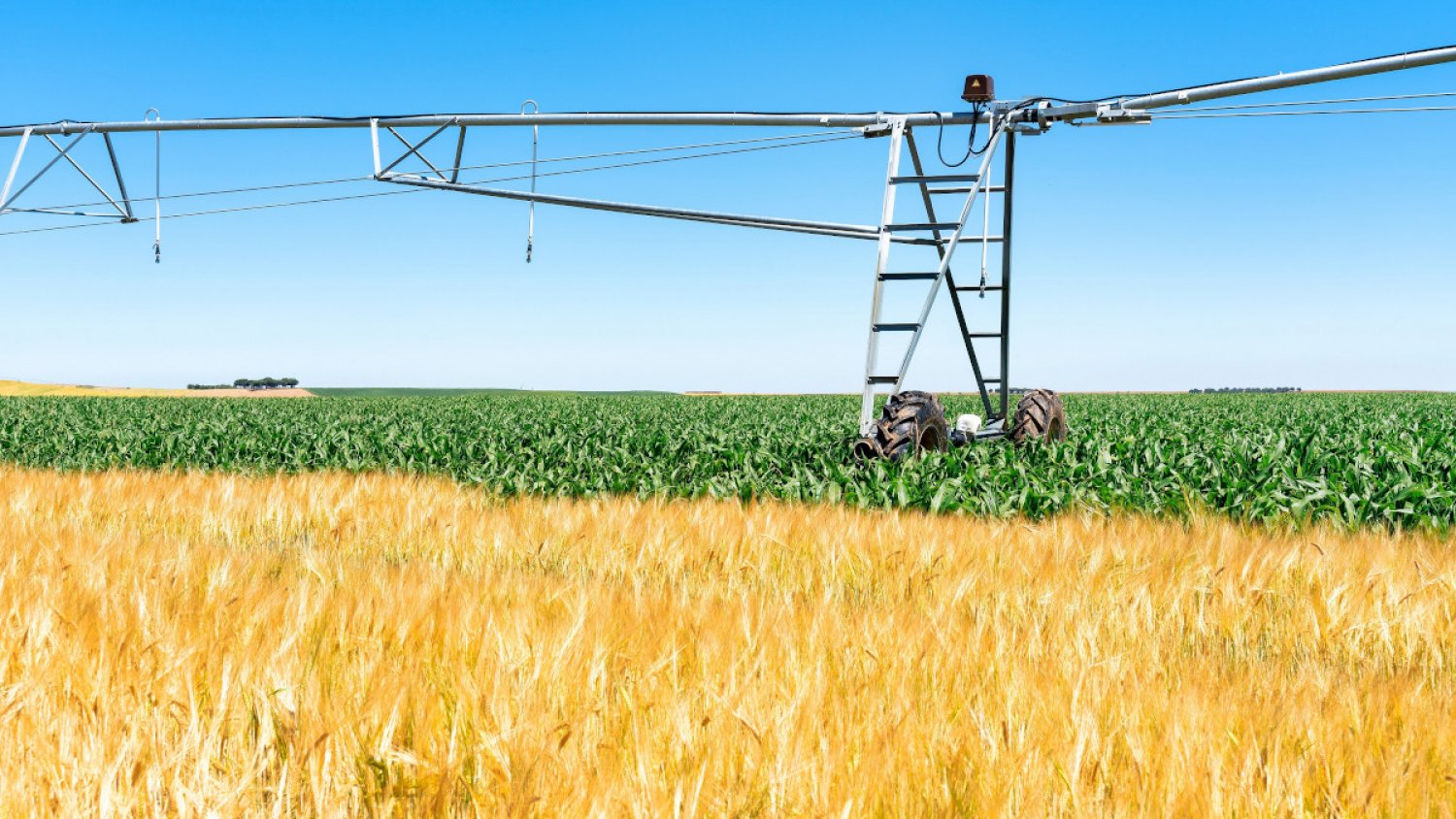 Unicaja destaca en su informe anual que el sector agrario de Andalucía creció un 15% en 2024