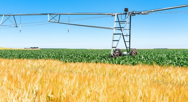 Unicaja destaca en su informe anual que el sector agrario de Andalucía creció un 15% en 2024