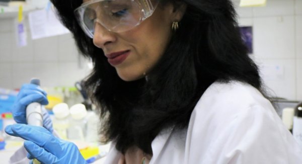 Investigadores de la UMA demuestran que el grafeno protege a las neuronas frente a procesos clave del párkinson