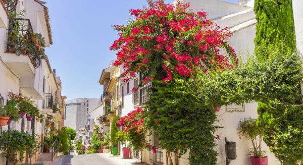Estepona reconocida por la excelencia de sus jardines en el certamen ‘Andalucía en Flor’