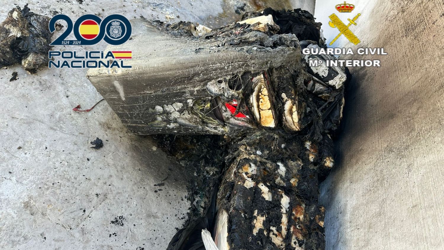 Desarticulada una organización criminal dedicada al tráfico internacional de cocaína