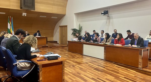 El PSOE de Fuengirola respalda el Plan Normativo 2026 tras lograr la inclusión de ocho propuestas socialistas