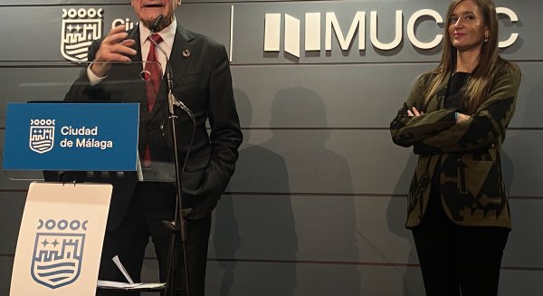 El Ayuntamiento de Málaga exige al Gobierno la retirada de la reforma del Estatuto Sanitario ante la oleada de huelgas