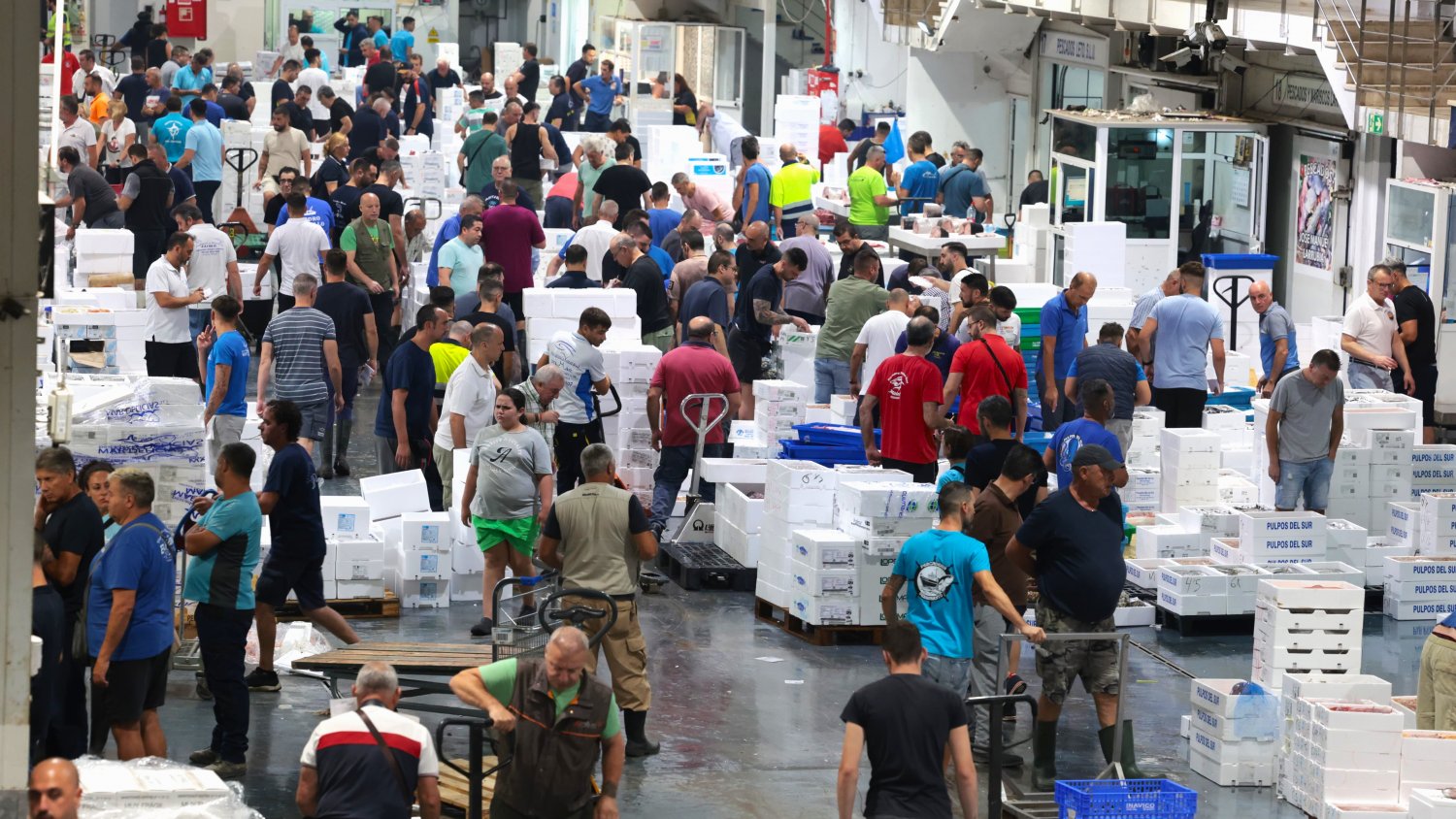 Mercamálaga roza las 290.000 toneladas comercializadas hasta noviembre