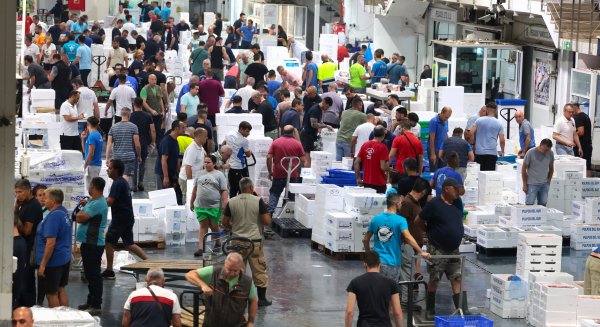 Mercamálaga roza las 290.000 toneladas comercializadas hasta noviembre