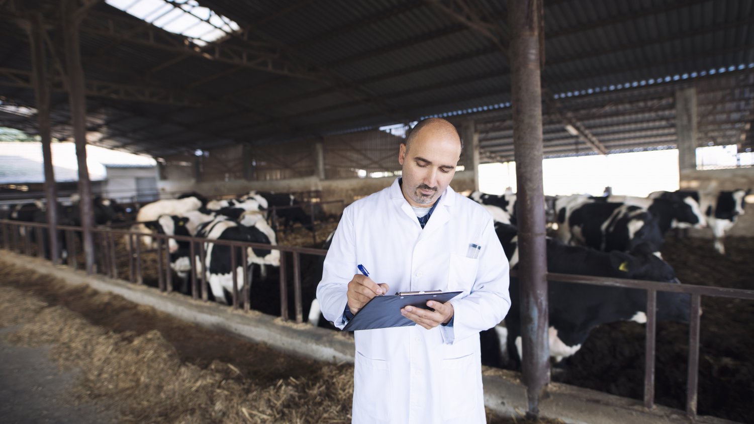 El Sindicato Médico logra ampliar la plantilla de veterinarios del SAS ante el incremento de actividad en los mataderos