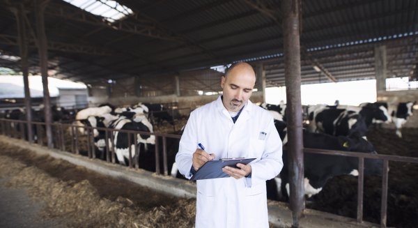 El Sindicato Médico logra ampliar la plantilla de veterinarios del SAS ante el incremento de actividad en los mataderos