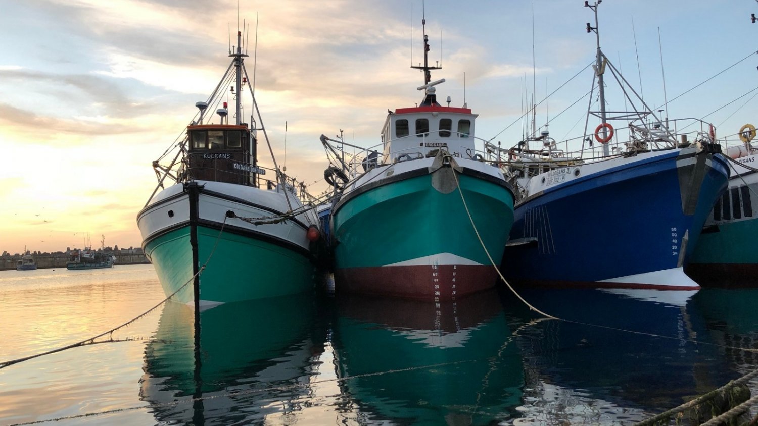 La Junta destina medio millón de euros a nuevas ayudas para el fomento de la pesca sostenible