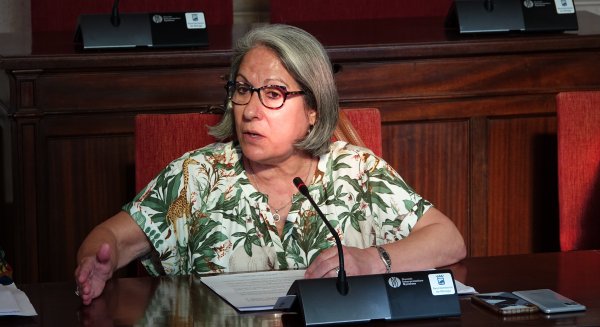 PSOE critica al equipo de gobierno por dar la espalda al comercio local y a los mercadillos