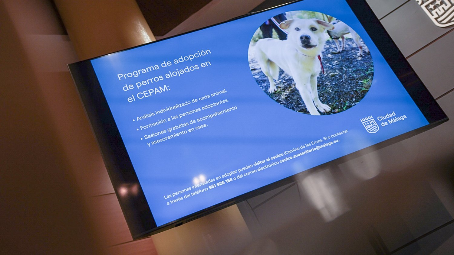 El Ayuntamiento impulsa las adopciones en el CEPAM mediante el estudio del perfil de cada perro y el asesoramiento a las familias