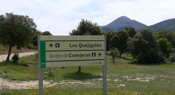 La Sierra de las Nieves lanza una app con geolocalización para recorrer su red de senderos