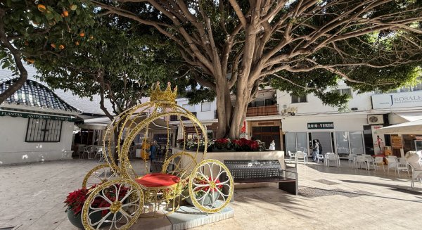 El Ayuntamiento de Estepona refuerza el embellecimiento floral navideño con 23.000 plantas