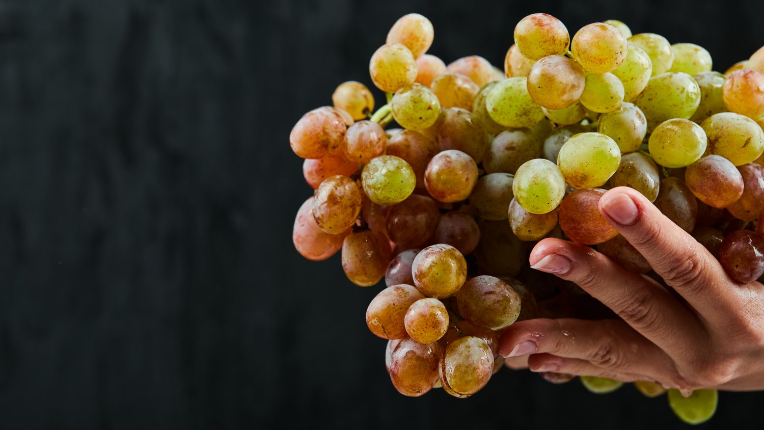 El Ayuntamiento de Málaga organiza una fiesta en la plaza de la Constitución para recibir el 2026 