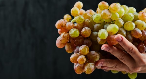 El Ayuntamiento de Málaga organiza una fiesta en la plaza de la Constitución para recibir el 2026 