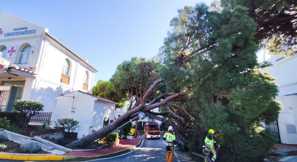 Mijas atiende más de sesenta incidencias por el fuerte viento sin lamentar daños personales