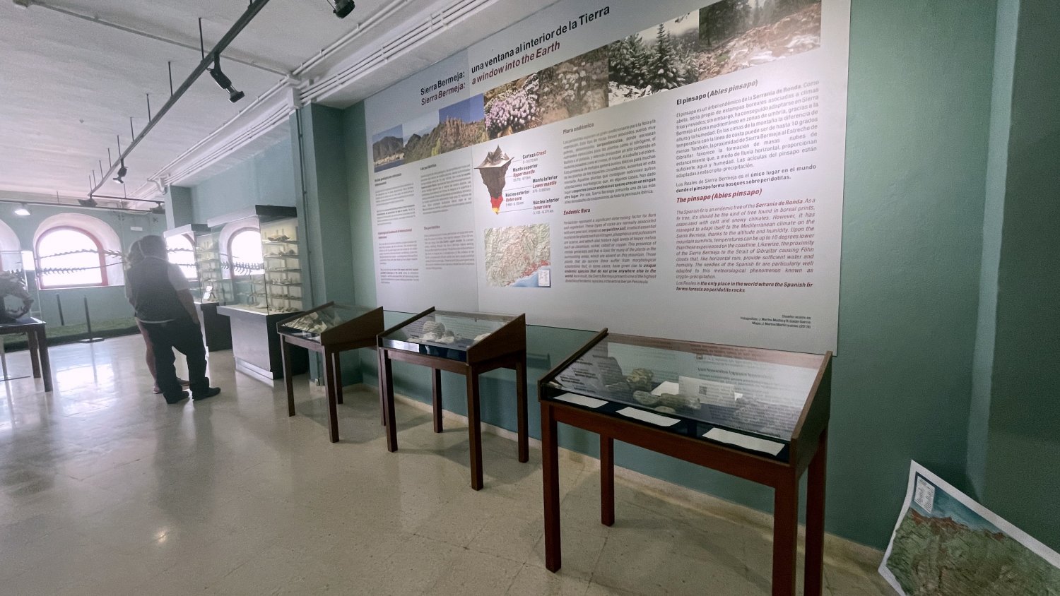 El Museo Paleontológico de Estepona inaugura un espacio dedicado a Sierra Bermeja