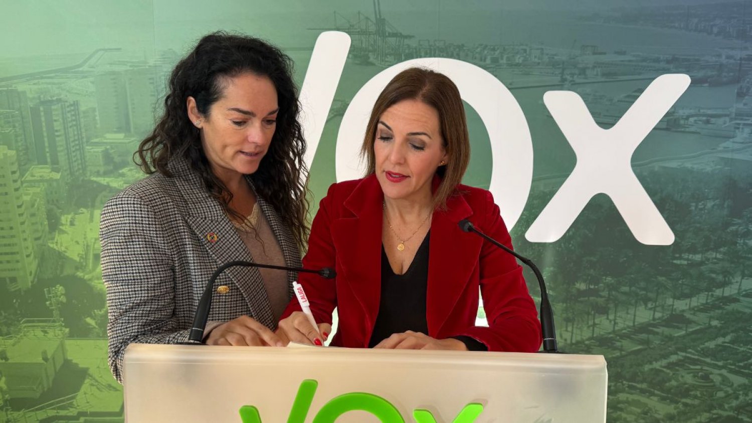 VOX denuncia el caos 'tercermundista' en el Aeropuerto de Málaga y culpa a Interior de dañar la imagen turística