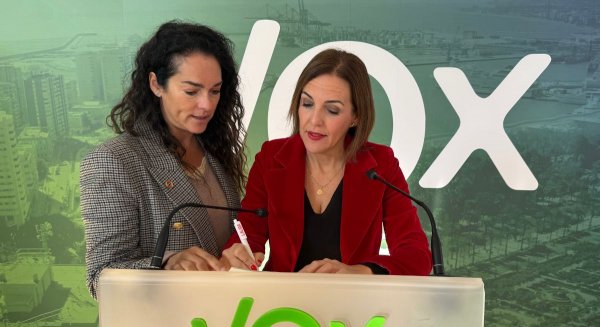VOX denuncia el caos 'tercermundista' en el Aeropuerto de Málaga y culpa a Interior de dañar la imagen turística
