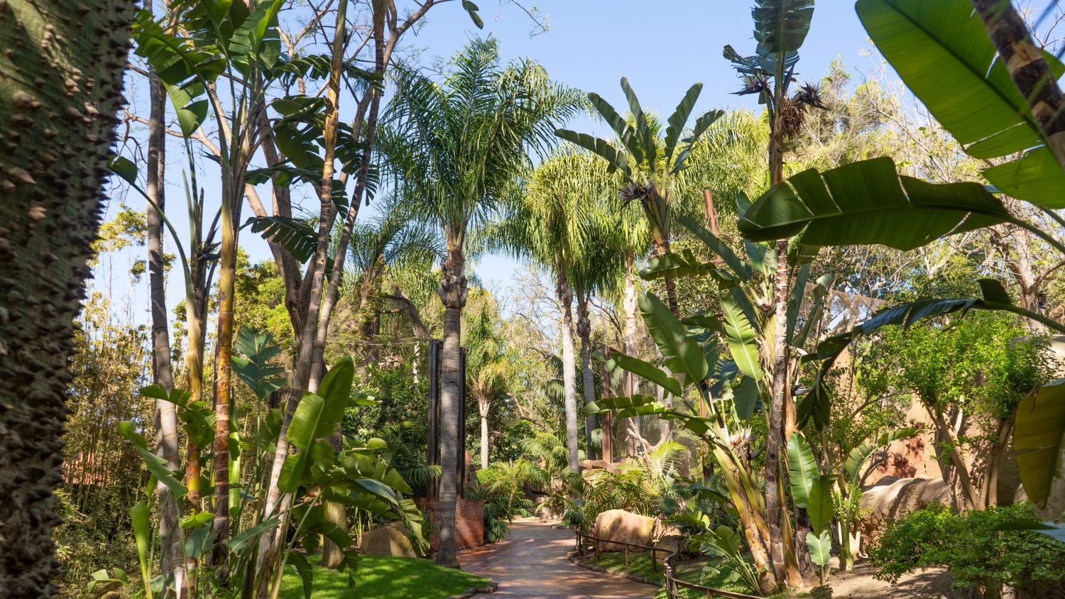 Bioparc Fuengirola: un bosque tropical en plena Costa del Sol con más de 100 especies de plantas