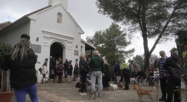 Mijas se prepara para vivir San Antón, una de las tradiciones más arraigadas del municipio