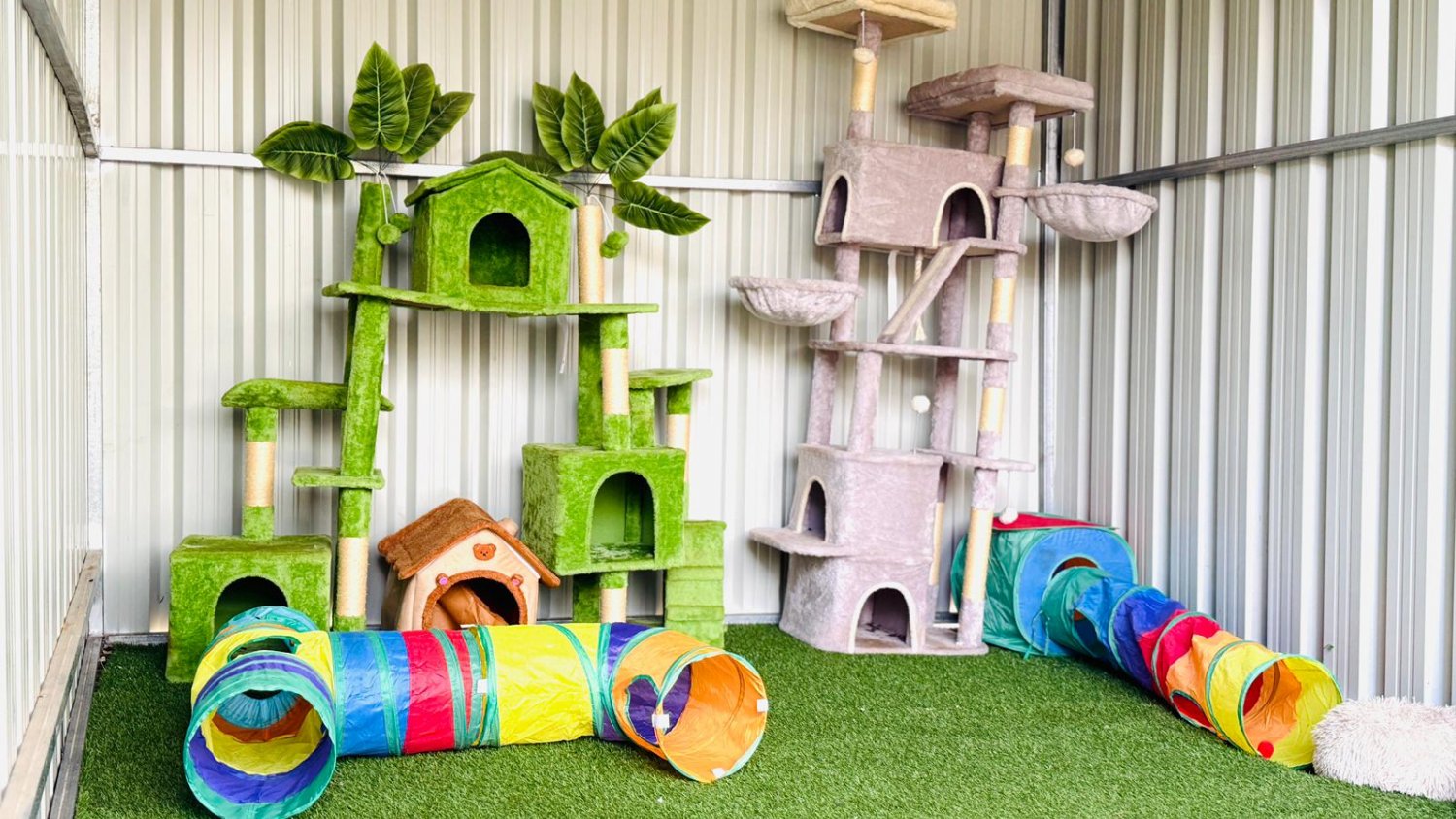 Rincón de la Victoria finaliza la reforma integral del albergue de gatos para mejorar el bienestar animal