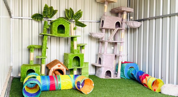 Rincón de la Victoria finaliza la reforma integral del albergue de gatos para mejorar el bienestar animal