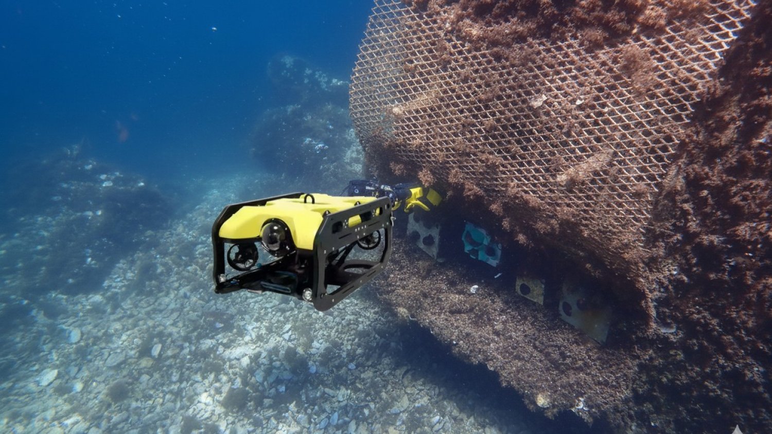 El Puerto Deportivo de Marbella instala arrecifes artificiales para regenerar la biodiversidad marina en sus aguas