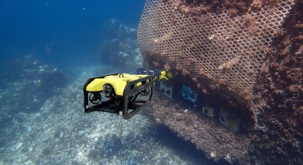 El Puerto Deportivo de Marbella instala arrecifes artificiales para regenerar la biodiversidad marina en sus aguas