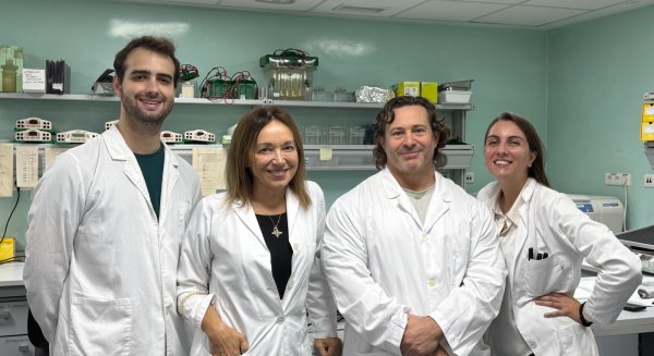 Una nueva combinación de fármacos logra resultados más eficaces contra la obesidad y el hígado graso