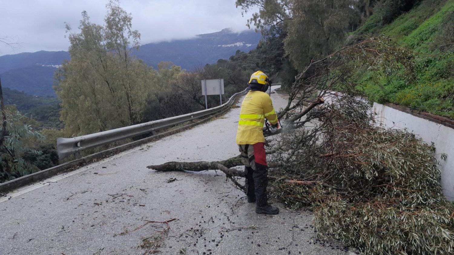 La borrasca Kristin deja casi 2.000 incidencias en Andalucía y bloquea las carreteras de la Serranía de Ronda