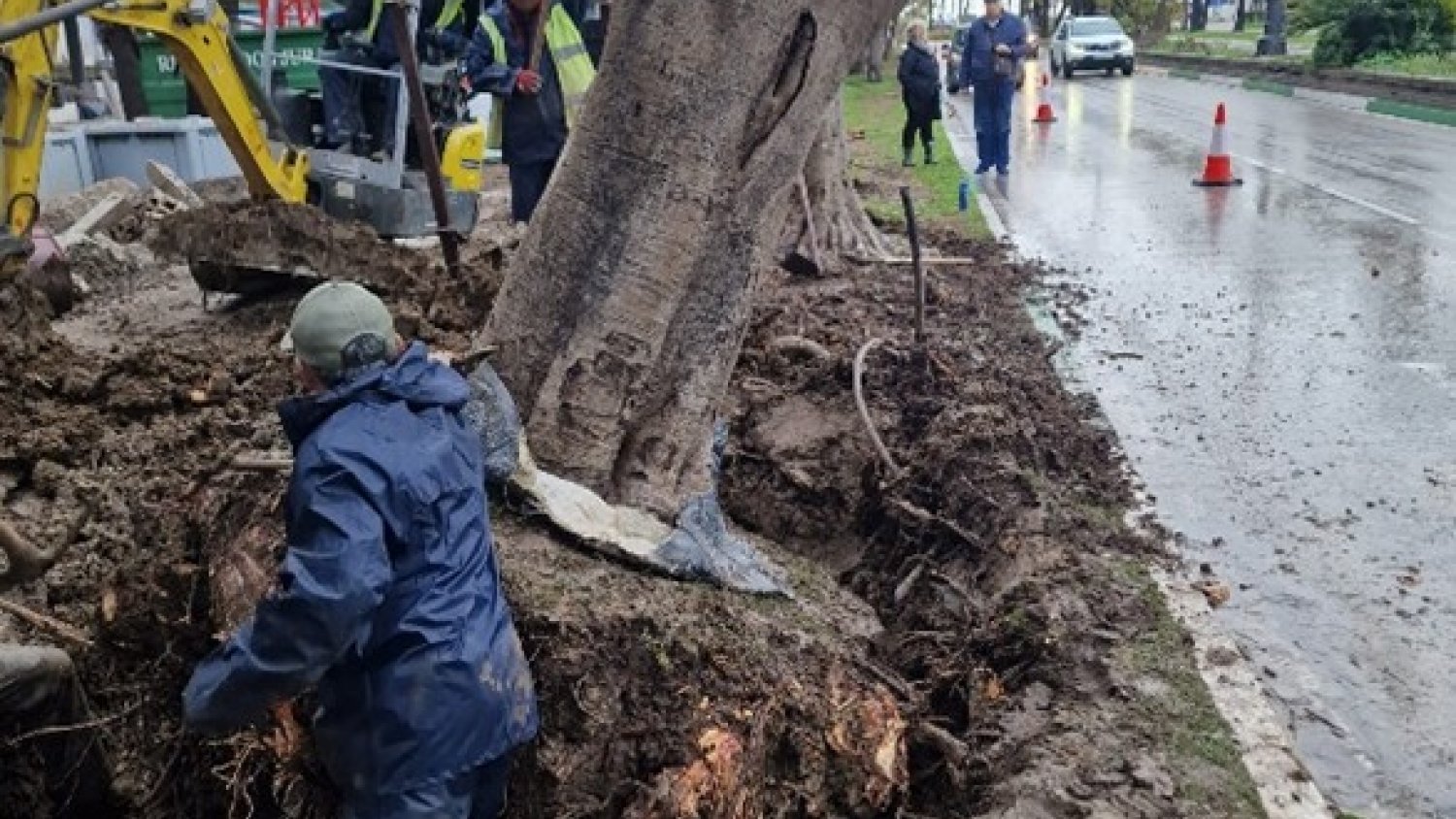 Más de 20.000 m² de nuevos espacios públicos impulsa la transformación de la entrada Este de Estepona
