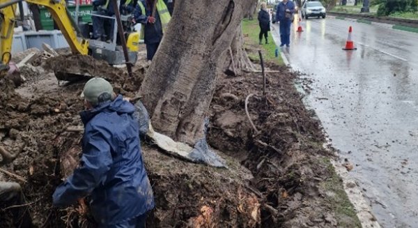 Más de 20.000 m² de nuevos espacios públicos impulsa la transformación de la entrada Este de Estepona