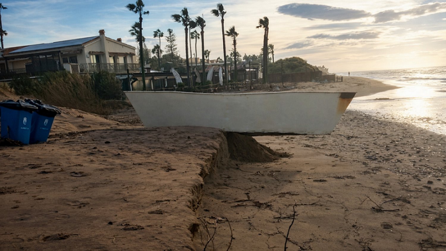 Marbella retira más de 1.460 toneladas de cañas y restos vegetales del litoral como consecuencia del temporal