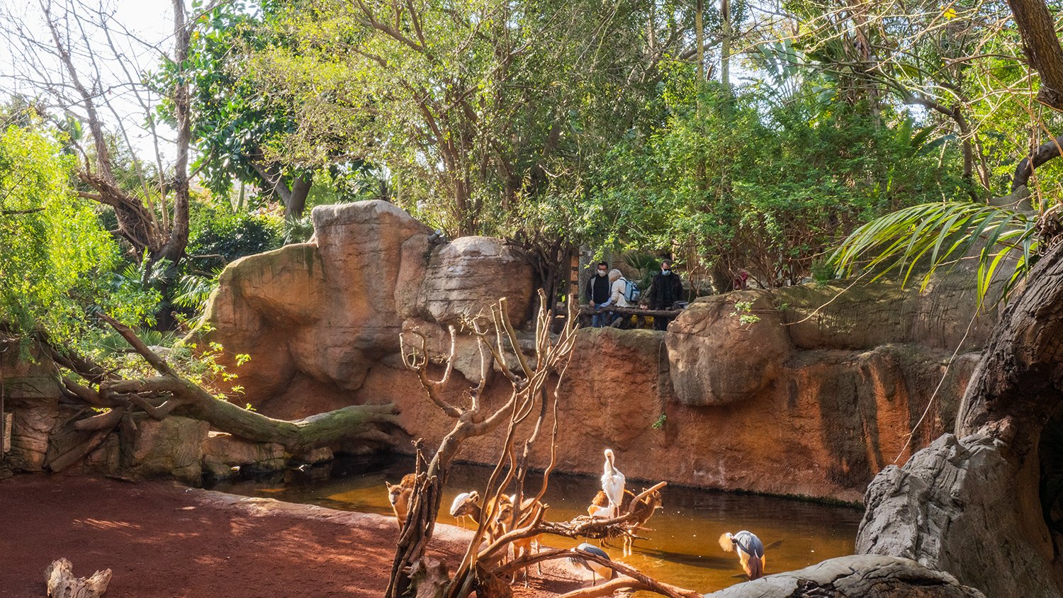 BIOPARC celebra el Día Mundial de los Humedales destacando su valor como patrimonio cultural