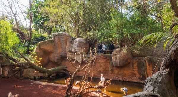 BIOPARC celebra el Día Mundial de los Humedales destacando su valor como patrimonio cultural