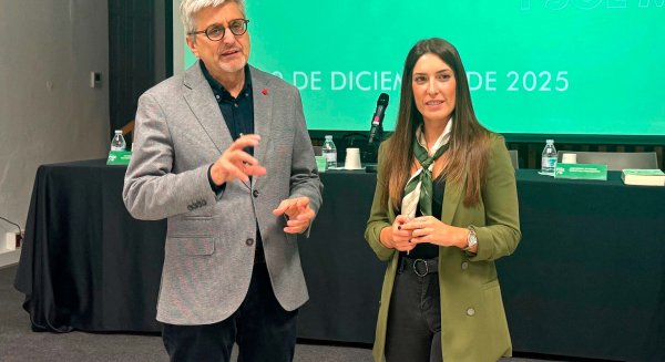 El PSOE traslada al Parlamento la polémica de las esculturas del Puerto para proteger el Centro Histórico