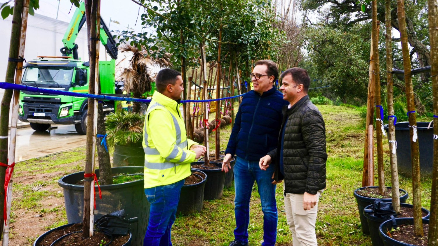 Marbella impulsa su modelo de ciudad verde con la llegada de más de 350 árboles que plantará en los próximos meses