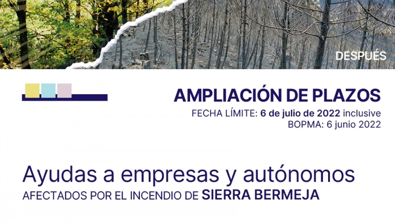 La Diputación amplía hasta el 6 de julio el plazo para solicitar ayudas por el incendio de Sierra Bermeja