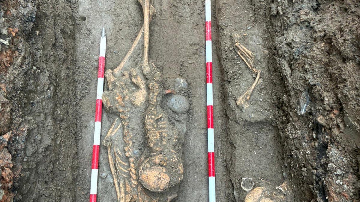 Estepona halla 12 nuevas tumbas en una necrópolis musulmana durante los siglos XIII y XV