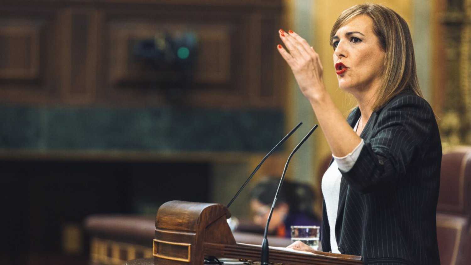 VOX señala que la borrasca Leonardo ha evidenciado la falta de infraestructuras hidráulicas en Málaga