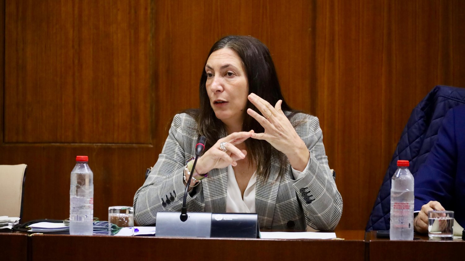 Loles López apela a la unidad contra la violencia de género y rechaza 'lecciones' de quienes recortaron las ayudas