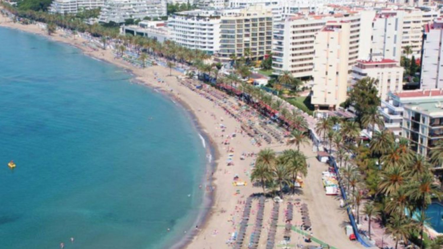 Margarita del Cid pide al Gobierno que reaccione ante el abandono de las playas de la provincia