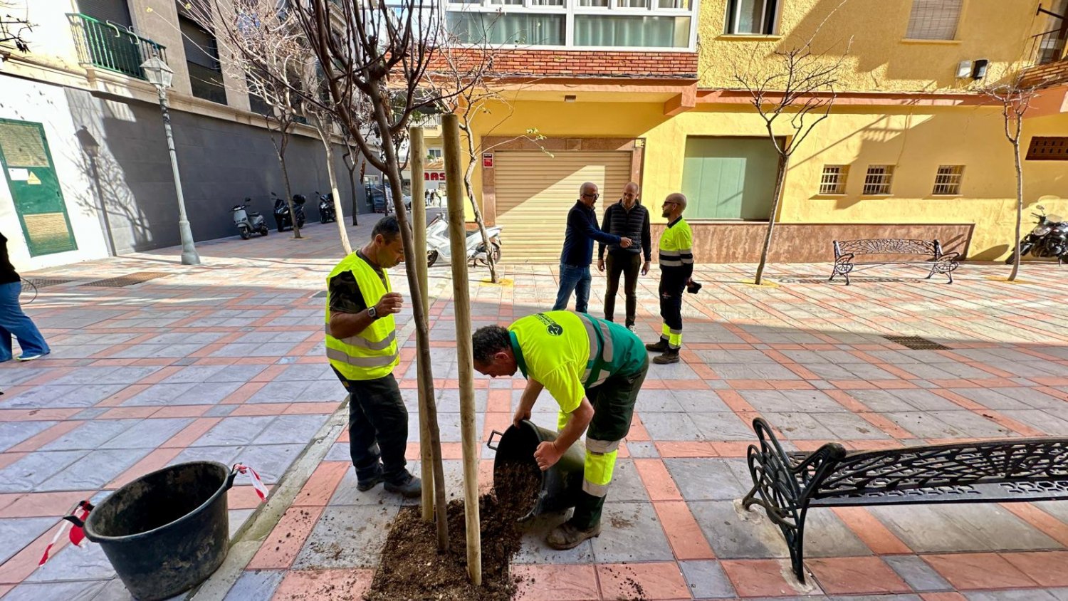 Fuengirola completa su Plan de Repoblación con la plantación de 236 árboles