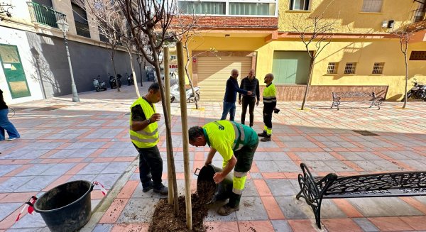 Fuengirola completa su Plan de Repoblación con la plantación de 236 árboles