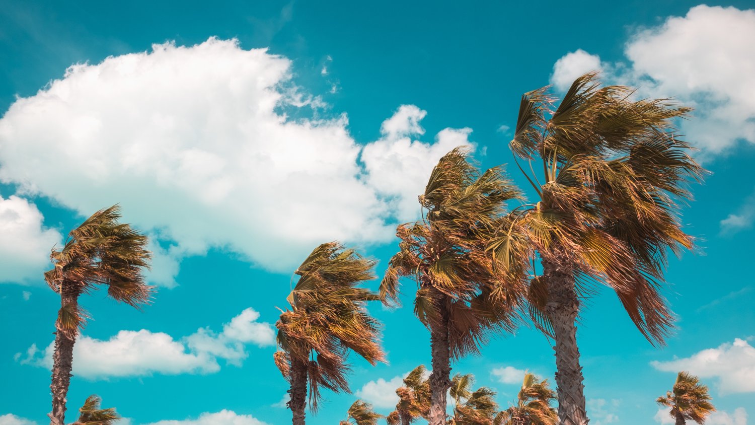 EMA 1-1-2  pide extremar la prudencia ante la llegada de la borrasca ‘Oriana’