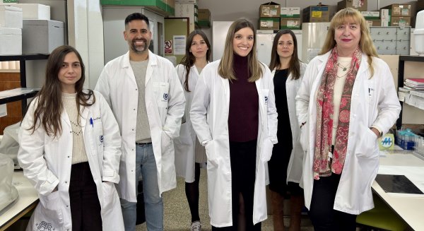 Científicos de la UMA e IBIMA descubren una nueva diana celular para entender y tratar el alzhéimer